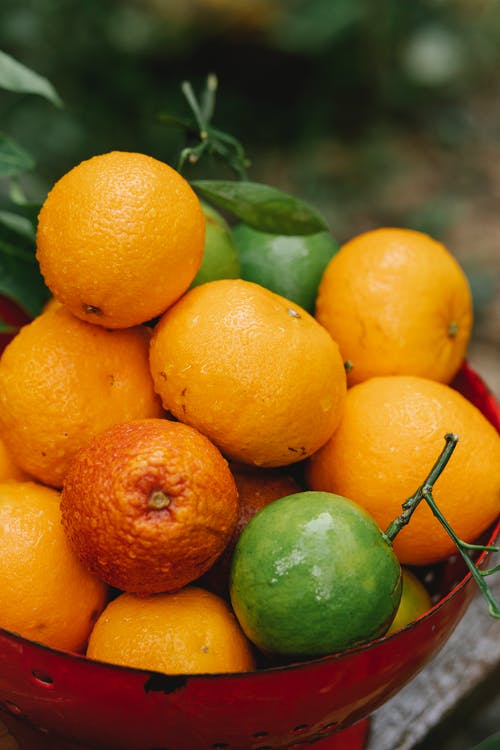 棕色棍子上的橙色水果 · 免费素材图片