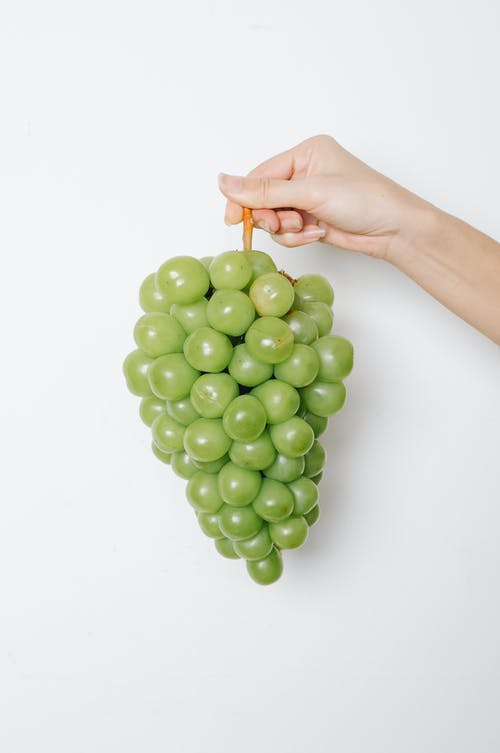 人手上的绿色圆形水果 · 免费素材图片