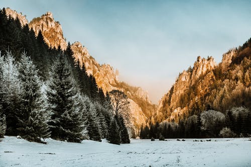 有关下雪的, 冬季, 天性的免费素材图片