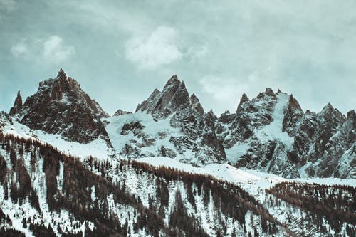 有关下雪的, 冬季, 天性的免费素材图片