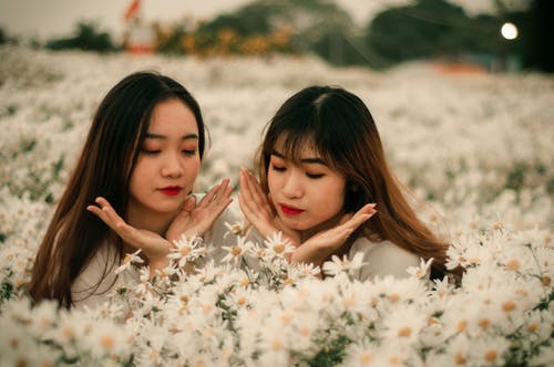 有关女性, 微妙, 植物群的免费素材图片