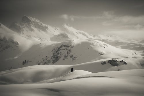 有关冬季, 单色, 大雪覆盖的免费素材图片
