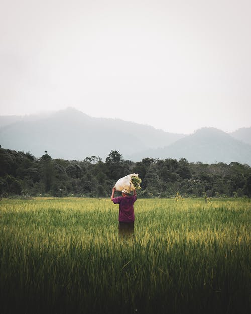 女人carrying着拐杖在外地携带袋 · 免费素材图片