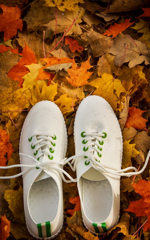 有关枫叶, 白色的鞋子, 秋天的颜色的免费素材图片