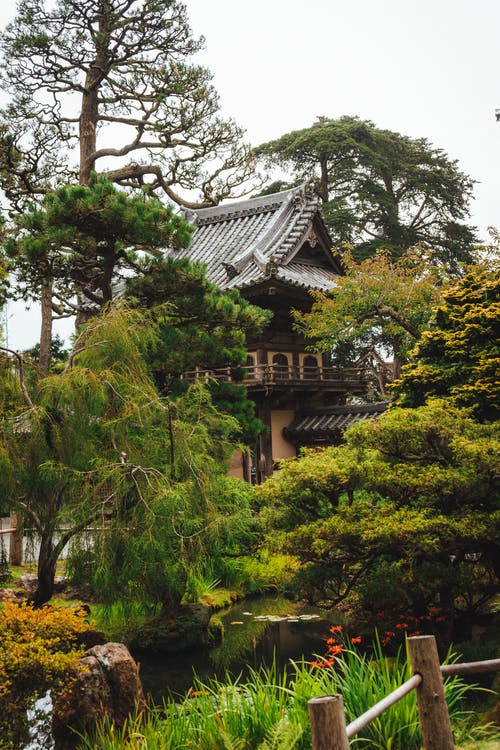 在葱郁如画的花园池塘附近的日本房子 · 免费素材图片
