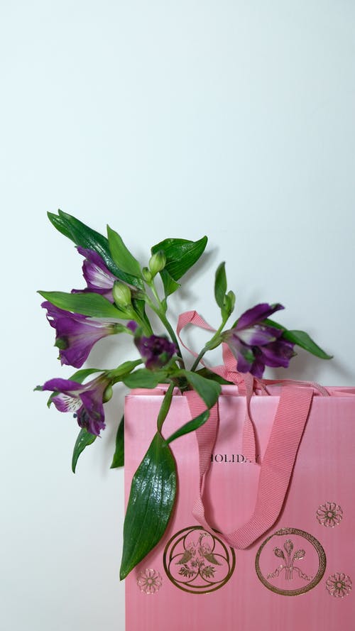 紫色和粉红色的郁金香花束 · 免费素材图片