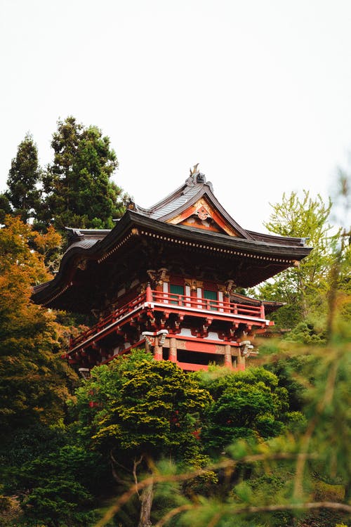 亚洲寺庙门面郁郁葱葱的绿树在花园中 · 免费素材图片