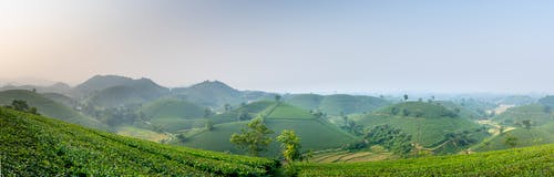 有关全景, 划船, 地形的免费素材图片