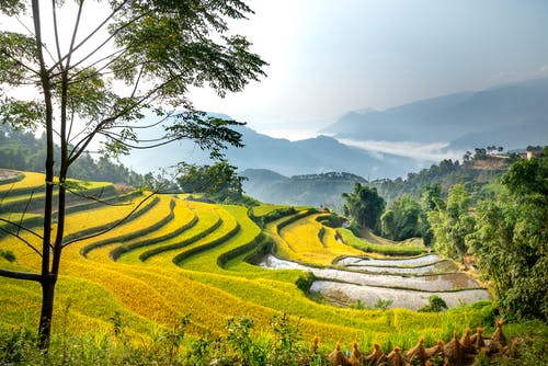 有关和平的, 和谐, 地形的免费素材图片