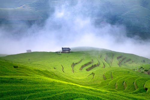 有关光, 和平的, 地平线的免费素材图片