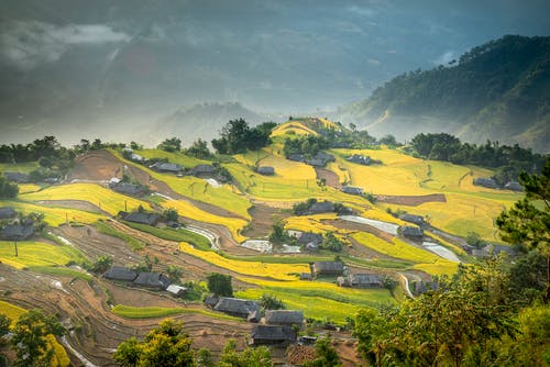 有关住, 农艺学, 区域的免费素材图片