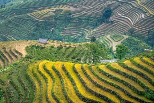 有关土地, 地平线, 天性的免费素材图片