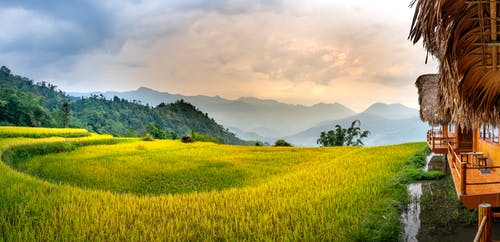 有关住宅, 假期, 全景的免费素材图片