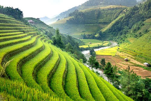 有关和谐, 土地, 地平线的免费素材图片