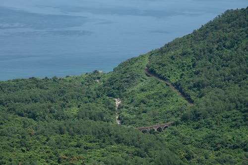 有关增长, 夏天, 天性的免费素材图片