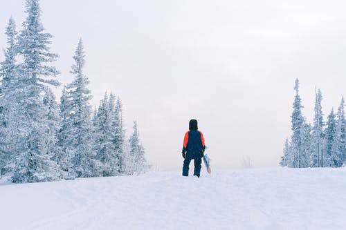 有关下雪的, 人, 从后面的免费素材图片