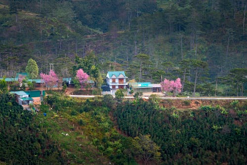 有关住, 住宅, 增长的免费素材图片