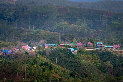 有关住, 住宅, 地平线的免费素材图片