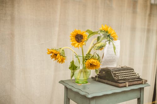 有关向日葵, 打字机, 插花的免费素材图片