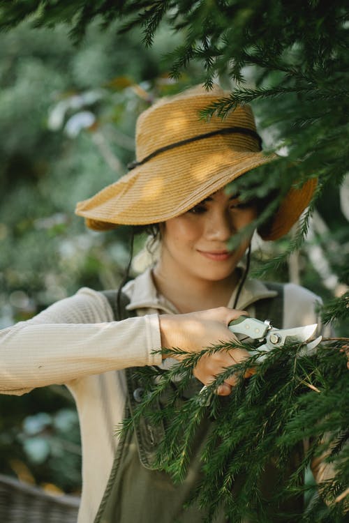 白色的长袖衬衫，戴着棕色帽子的女人 · 免费素材图片