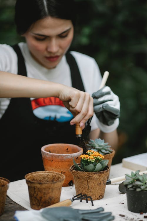 拿着绿色植物的白衬衫的男人 · 免费素材图片