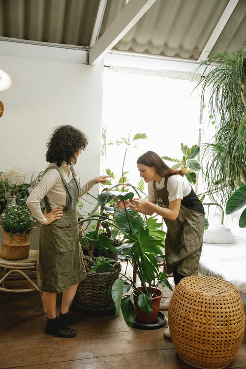 男人和女人在绿色的植物旁边接吻 · 免费素材图片