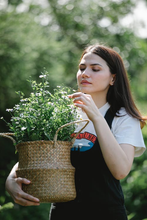 拿着绿色的植物的白衬衫的女人 · 免费素材图片