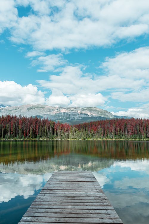 白云和蓝天下的树木所包围的湖 · 免费素材图片
