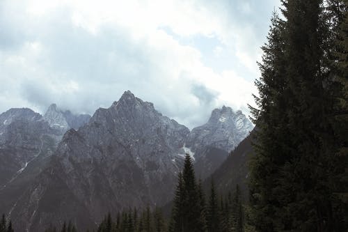 有关山, 有雾, 树木的免费素材图片