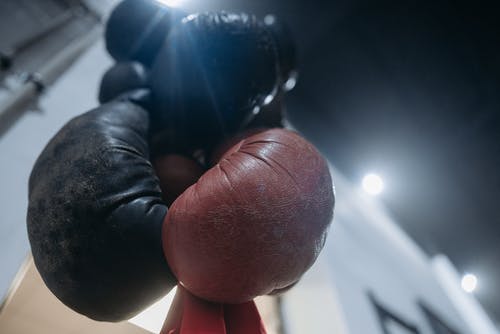 有关mma, 低角度拍摄, 健身房的免费素材图片