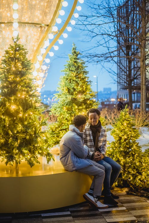 男人和女人坐在长椅上树下的灯串 · 免费素材图片