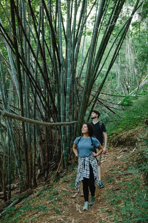 黑色的t恤，站在竹树旁边的女人 · 免费素材图片