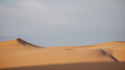 有关天性, 户外, 沙丘的免费素材图片