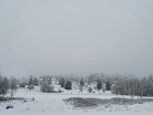 有关冬季, 大雪覆盖, 有雾的免费素材图片