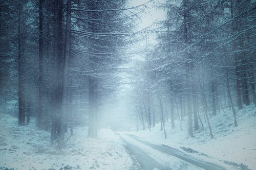有关下雪的, 下雪的天气, 光的免费素材图片