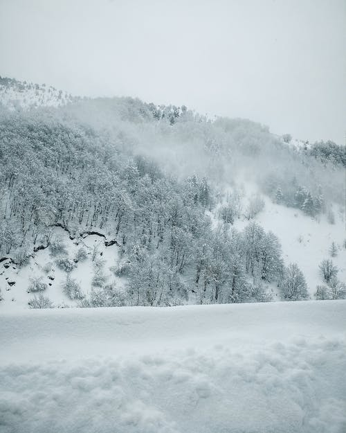 有关冬季, 垂直拍摄, 大雪覆盖的免费素材图片