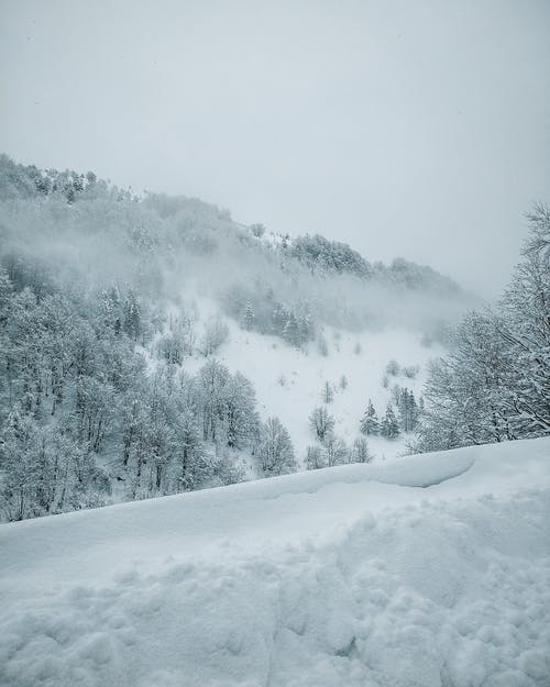 有关冬季, 垂直拍摄, 大雪覆盖的免费素材图片