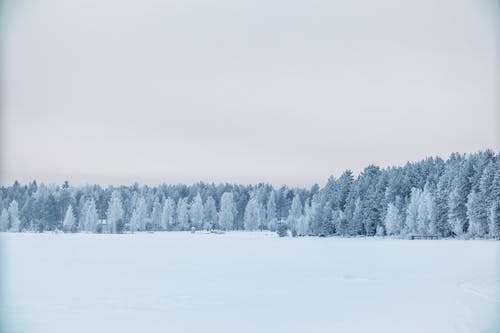 有关冬季, 冬季景观, 冷的免费素材图片