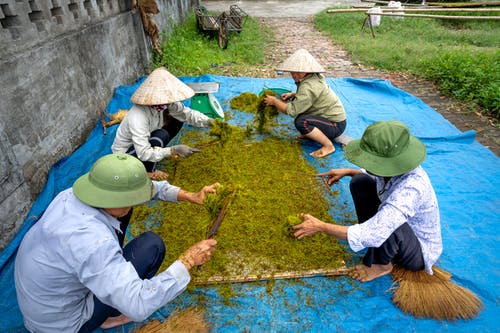 有关一串, 不露面, 乾的的免费素材图片