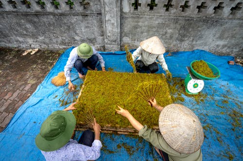 有关一串, 不露面, 乾的的免费素材图片