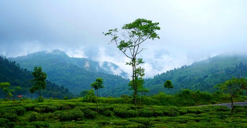 有关山, 山谷, 有薄霧的的免费素材图片