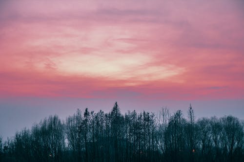 有关天性, 天空, 戲劇化的免费素材图片