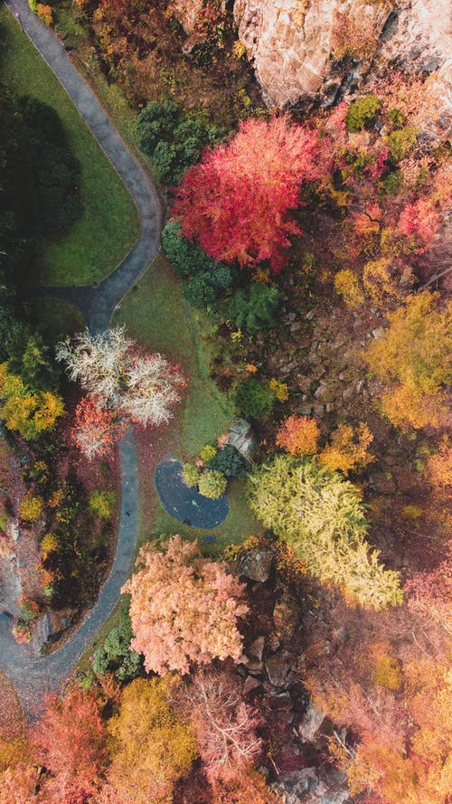 有关下落, 公園, 垂直拍摄的免费素材图片