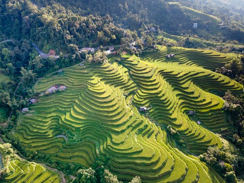 有关下田, 山, 戶外的免费素材图片