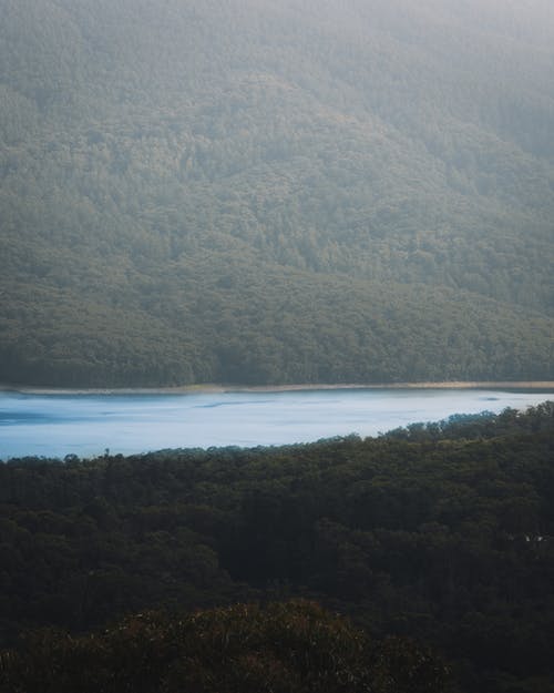 有关场景, 壁纸, 天性的免费素材图片