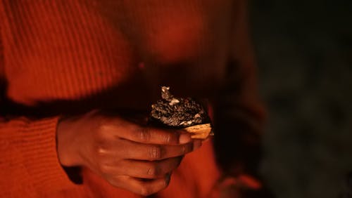 有关smores, 女人, 手的免费素材图片