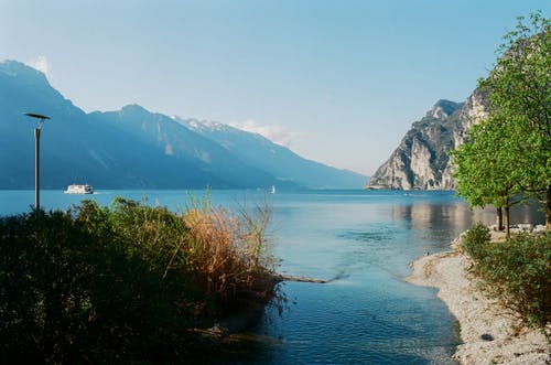 有关冷静, 场景, 增长的免费素材图片