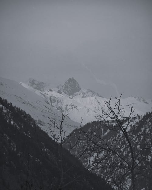 有关下雪的, 冬季, 单色的免费素材图片