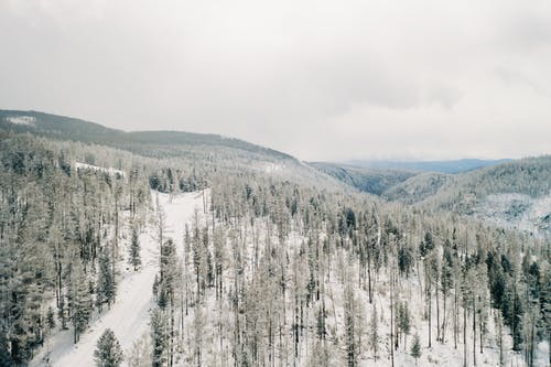 有关冬天的背景, 冬季, 冬季景观的免费素材图片