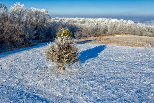 有关冬季, 大雪覆盖, 天性的免费素材图片